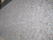 GranitE G383 วัสดุ Bianco Antico หินแกรนิตสีเทาดอกไม้สีม่วง
